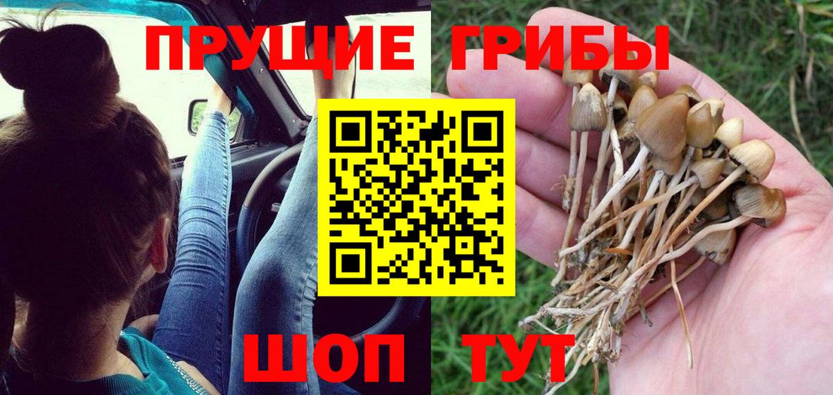 Псилоцибиновые грибы ЛСД Дербент