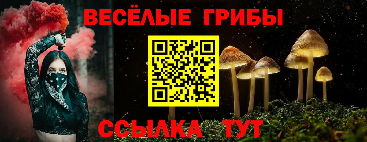 Галлюциногенные грибы Magic Shrooms  Вход с VPN  Псилоцибиновые грибы Cubensis  Дербент 